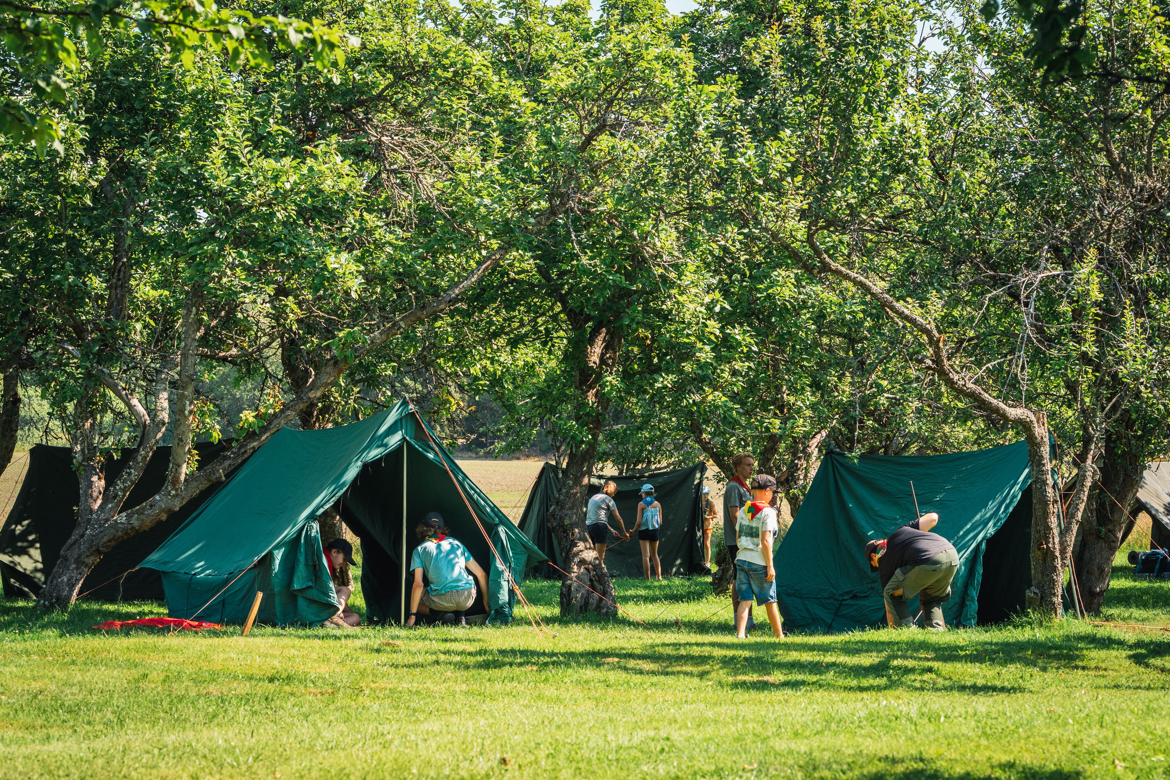 Tält på sommarlägret Odyssé 2025